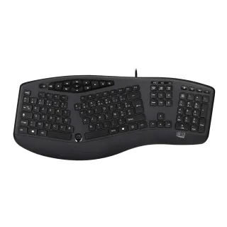 ERGONOMIC KEYBOARD W/ HOT KEYS  INTEGRATED PALM REST-USB
