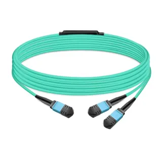 30M PASSIVE FIBER CABL SMF      MPO12 APC TO 2XMPO12 APC