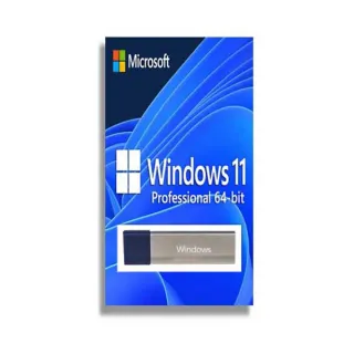 MICROSOFT WIN PRO FPP 11 64-BIT ENGLISH 1 LICENSE USB FLASH DRIVE PRICE DIF